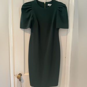 Calvin Klein dramatic sleeve dress